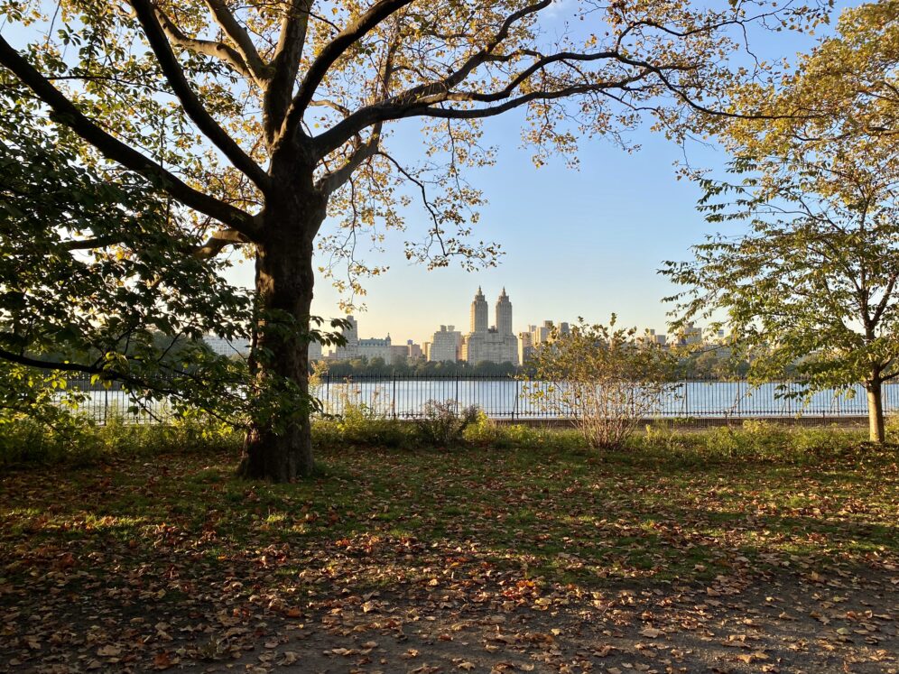 Inspiration at the Park