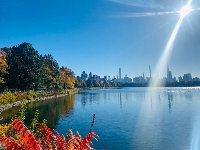 Eastern side of the pond.